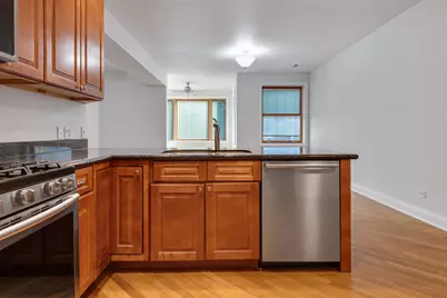 7010 S Clyde Avenue #3N, Chicago, IL 60649 - Photo 8