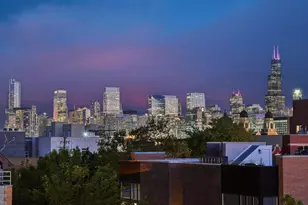 849 N Paulina St, Chicago, IL 60622 - Photo 20