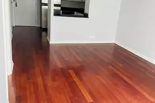 222 E Pearson St, Chicago, IL 60611 - Photo 4