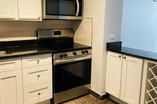222 E Pearson St, Chicago, IL 60611 - Photo 8