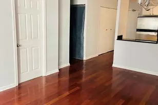 222 E Pearson St, Chicago, IL 60611 - Photo 10