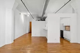 621 S Plymouth Ct, Chicago, IL 60605 - Photo 6