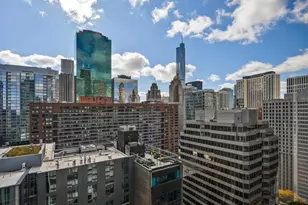 230 E Ontario St, Chicago, IL 60611 - Photo 4