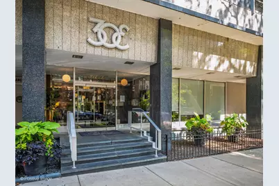 30 E Elm Street #14E, Chicago, IL 60611 - Photo 2