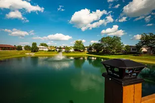 10865 Doral Dr, Frankfort, IL 60423 - Photo 42