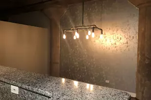 411 W Ontario St, Chicago, IL 60654 - Photo 8