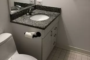 411 W Ontario St, Chicago, IL 60654 - Photo 22