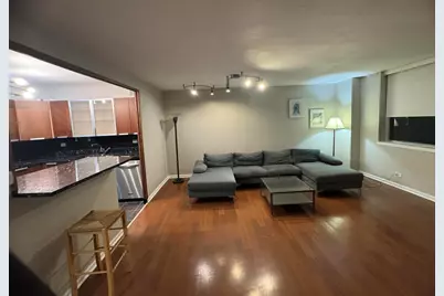 6301 N Sheridan Road #23N, Chicago, IL 60660 - Photo 6