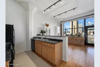 1601 S Michigan Avenue #301, Chicago, IL 60616 - Photo 10