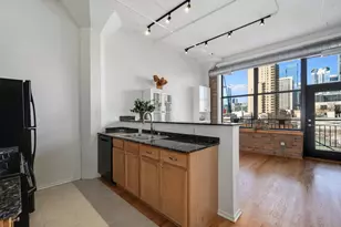 1601 S Michigan Ave, Chicago, IL 60616 - Photo 10