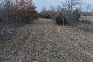 2878 Lazy Acre Rd, Odin, IL 62870 - Photo 8