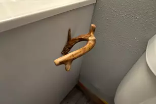 2878 Lazy Acre Rd, Odin, IL 62870 - Photo 18