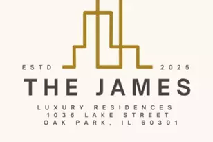 1036 Lake St, Oak Park, IL 60301 - Photo 2