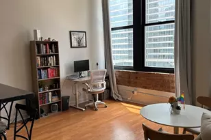 124 W Polk St, Chicago, IL 60605 - Photo 6