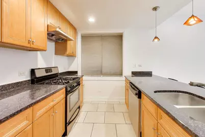 2615 S Lowe Avenue #1S, Chicago, IL 60616 - Photo 10