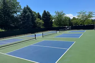 23 Red Tail Dr, Hawthorn Woods, IL 60047 - Photo 46