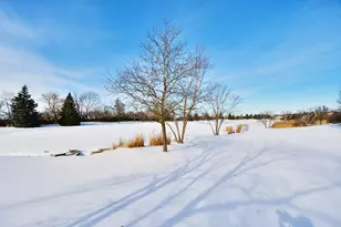 23 Red Tail Dr, Hawthorn Woods, IL 60047 - Photo 34