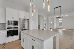 8850 Baileys Hbr Dr, Frankfort, IL 60423 - Photo 8