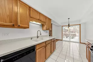 9301 Waterford Ln, Orland Park, IL 60462 - Photo 10