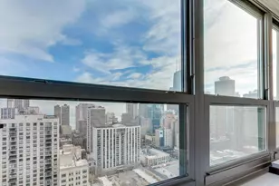 1255 N Sandburg Terrace, Chicago, IL 60610 - Photo 10