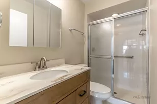 9395 Landings Ln, Des Plaines, IL 60016 - Photo 18