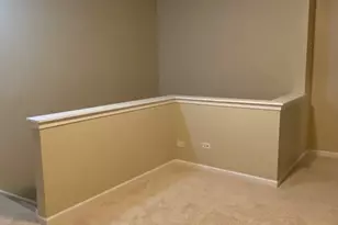 364 Grape Vine Trail, Oswego, IL 60543 - Photo 14