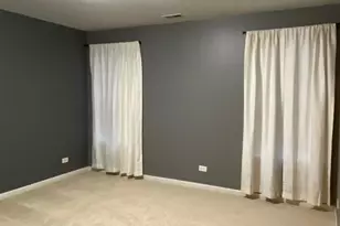 364 Grape Vine Trail, Oswego, IL 60543 - Photo 12