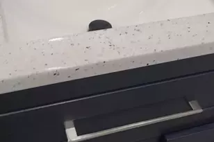 4307 W Grand Ave, Chicago, IL 60651 - Photo 12