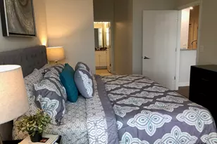 233 E 13th St, Chicago, IL 60605 - Photo 18