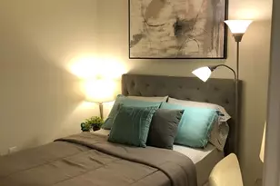 233 E 13th St, Chicago, IL 60605 - Photo 16