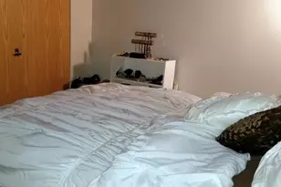 1550 S Indiana Ave, Chicago, IL 60605 - Photo 8