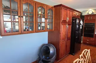 19 Pasadena Dr, Oswego, IL 60543 - Photo 14