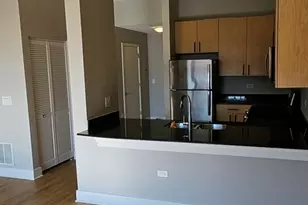 1155 W Madison St, Chicago, IL 60607 - Photo 6