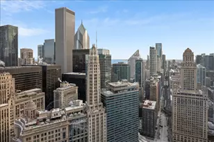 401 N Wabash Ave, Chicago, IL 60611 - Photo 4