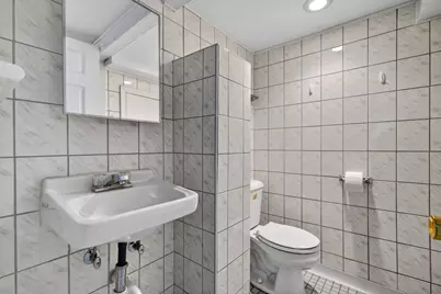 1820 S Prospect Avenue, Park Ridge, IL 60068 - Photo 28