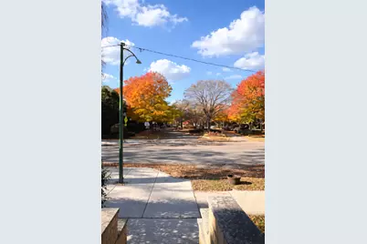 3329 S Racine Avenue, Chicago, IL 60608 - Photo 30