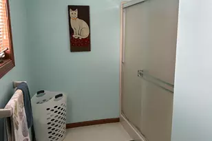 704 Brynnwood Ln, Lena, IL 61048 - Photo 36