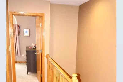 230 E Big Timber Drive, Coal City, IL 60416 - Photo 24