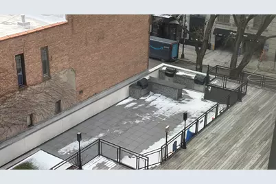 21 W Goethe Street #2A, Chicago, IL 60610 - Photo 38