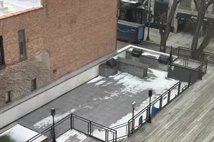 21 W Goethe St, Chicago, IL 60610 - Photo 38