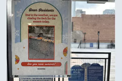 21 W Goethe Street #2A, Chicago, IL 60610 - Photo 36