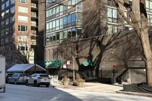 21 W Goethe St, Chicago, IL 60610 - Photo 48