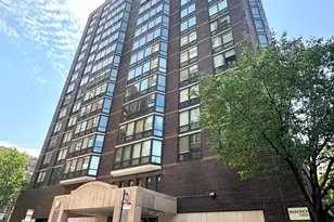 21 W Goethe St, Chicago, IL 60610 - Photo 1