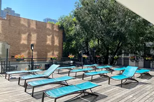 21 W Goethe St, Chicago, IL 60610 - Photo 46