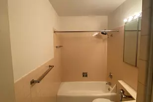 21 W Goethe St, Chicago, IL 60610 - Photo 20