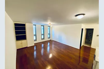 21 W Goethe Street #2A, Chicago, IL 60610 - Photo 8