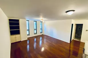 21 W Goethe St, Chicago, IL 60610 - Photo 8