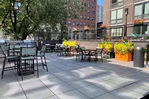 21 W Goethe St, Chicago, IL 60610 - Photo 46