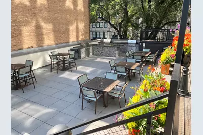 21 W Goethe Street #2A, Chicago, IL 60610 - Photo 30