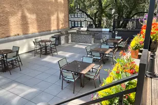 21 W Goethe St, Chicago, IL 60610 - Photo 30